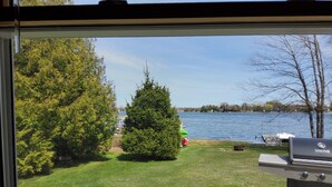 A view of a lake with a grassy area, trees, and a grill in the foreground.