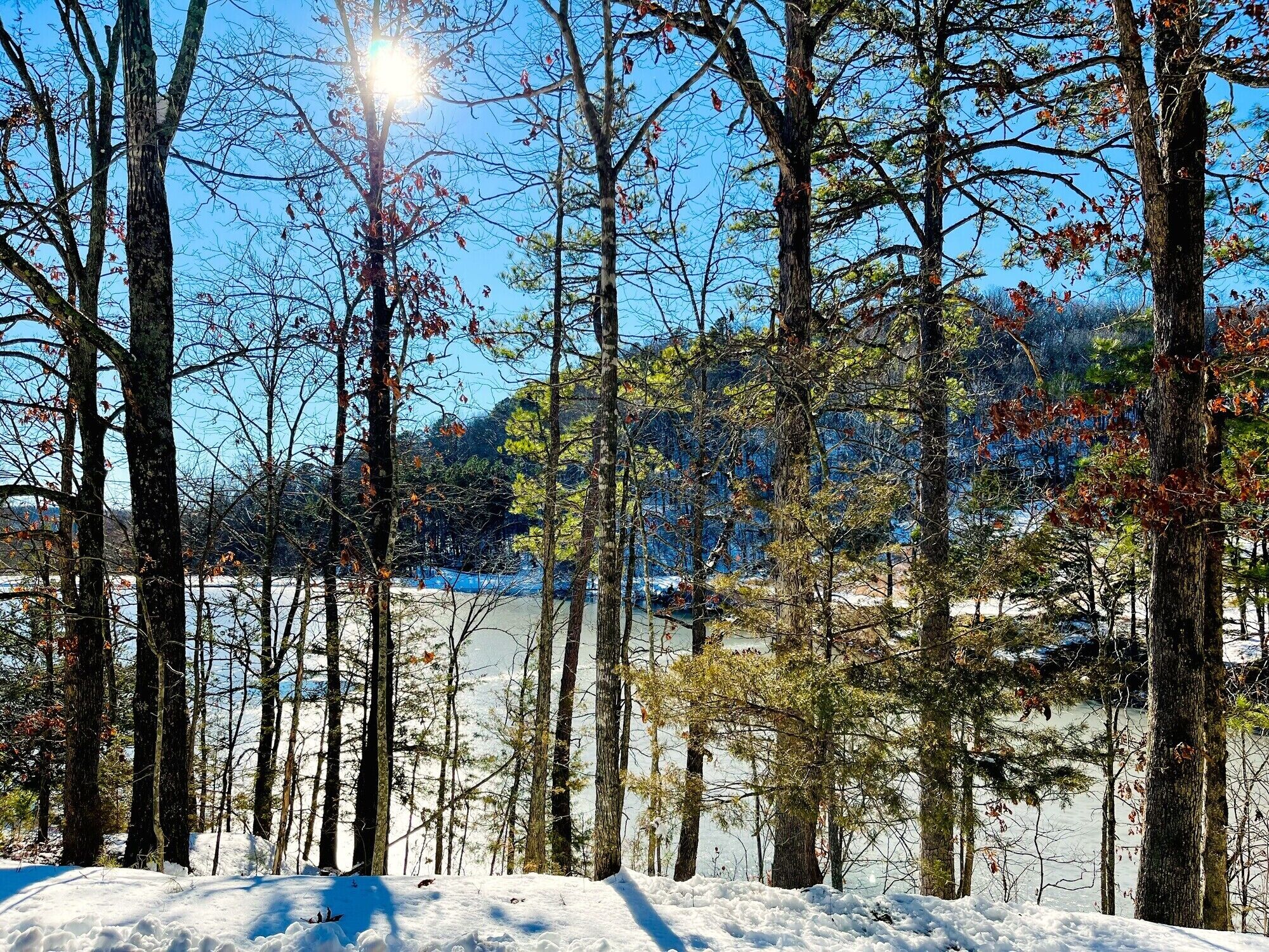 View from the on-property road by the large lake.