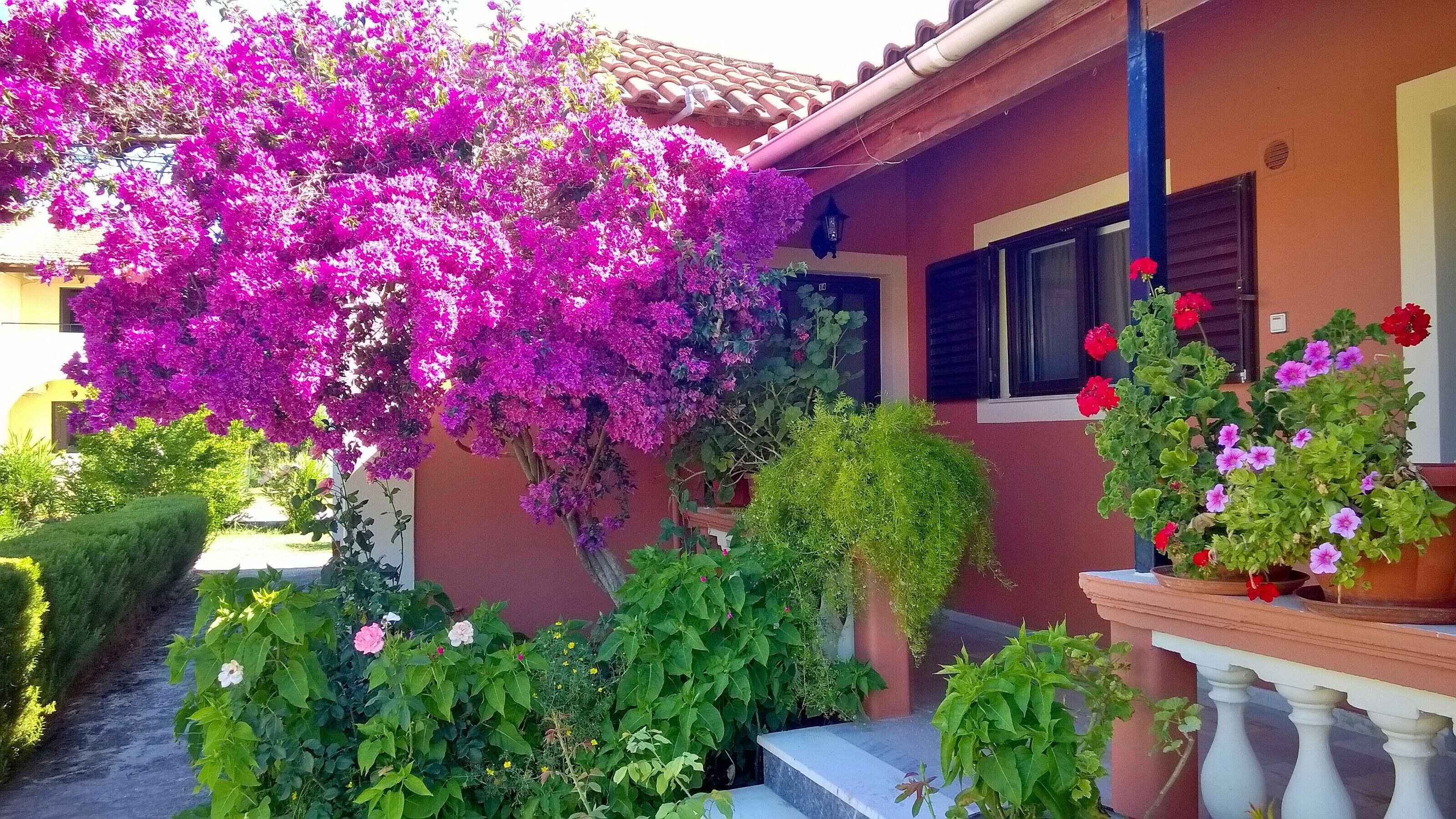 Details aan de buitenkant