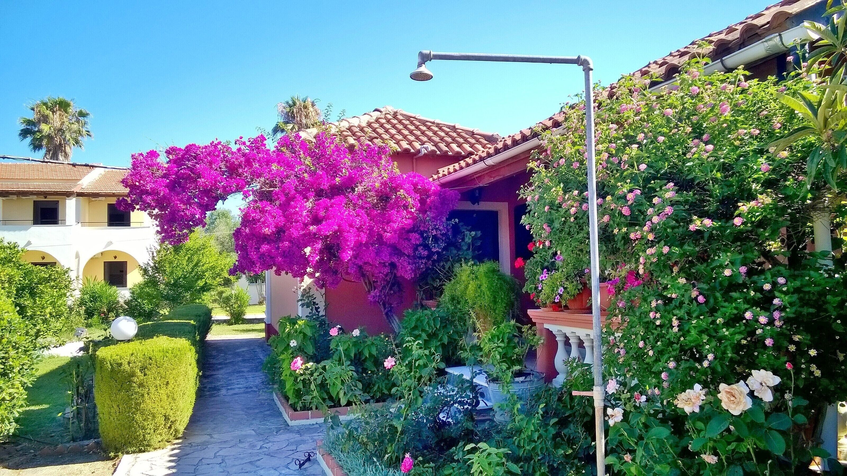 Terrein van de accommodatie