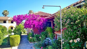 A garden with vibrant bougainvillea and roses, a pathway, and a building with a tiled roof.