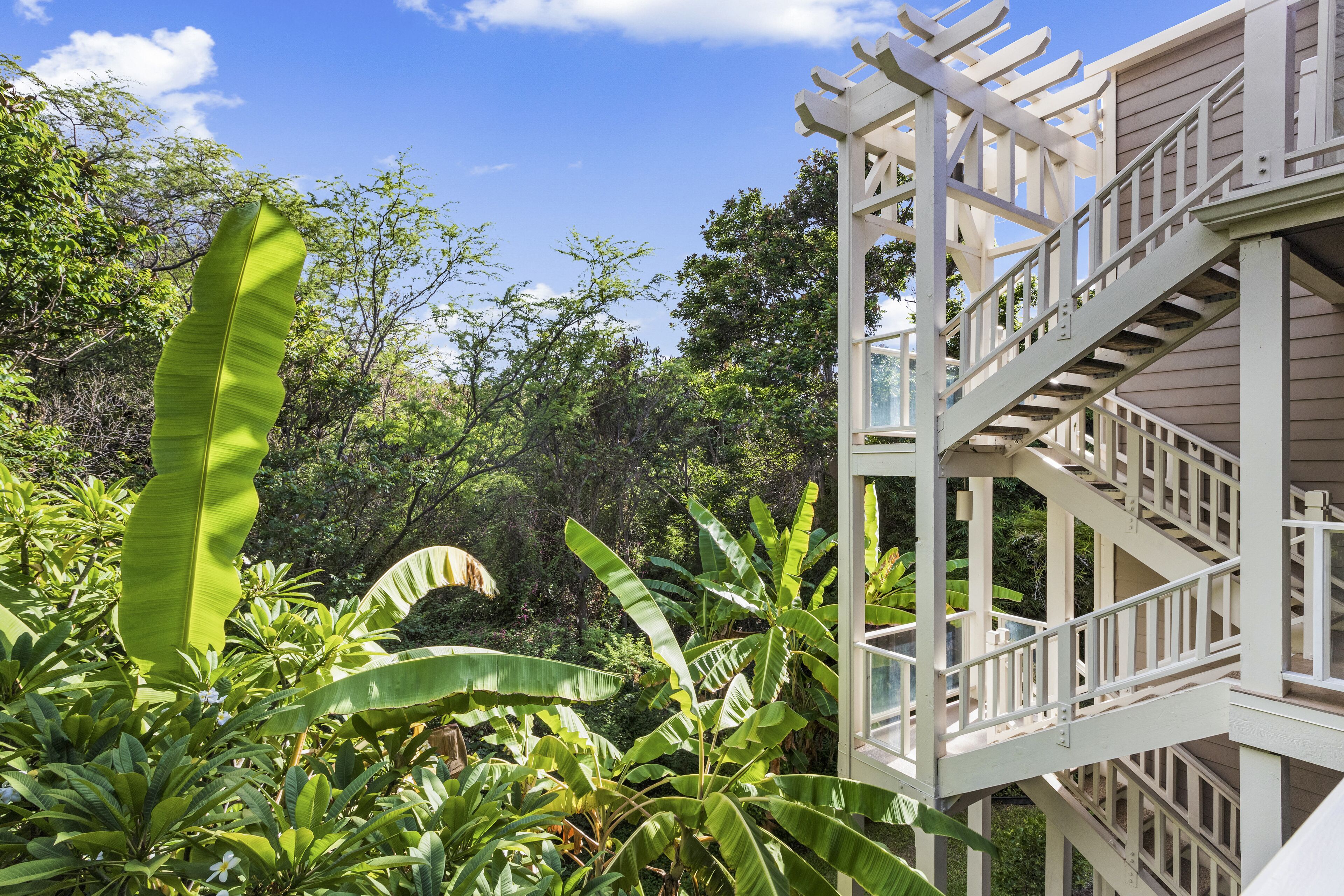 Parco della struttura