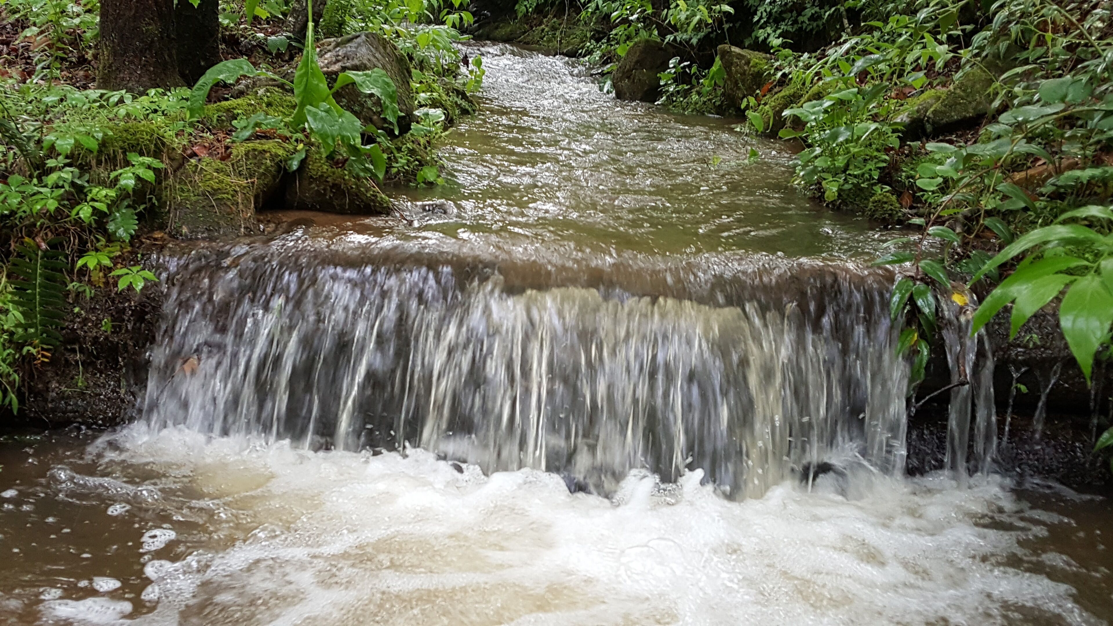 Brevard Mountain Cabin Retreat with Waterfall and Pond!