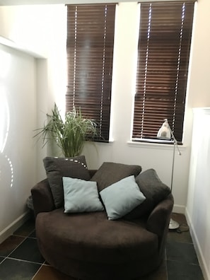 Smart TV, DVD player, video library, computer monitors