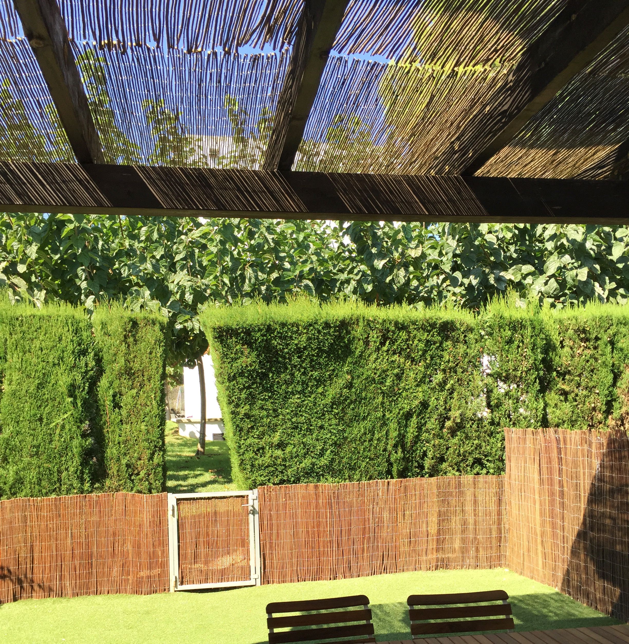 A partial view of a backyard from inside a living room, featuring a wooden deck, a bamboo fence, and a well-maintained hedge.