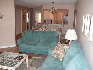 Smart TV, DVD player, books, video library