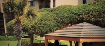 オーシャンフロント、5つ星の豪華さ、ビーチまで徒歩1分。  驚くほど装飾された