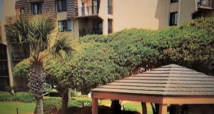 One minute walk to the beach, first floor, private beach, luxury sleep!