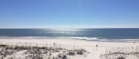 On the beach
