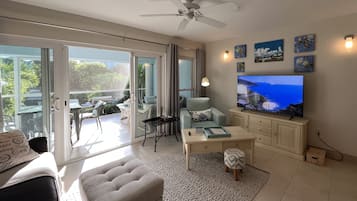 Smart TV, DVD player, books