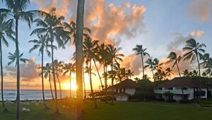 En ejendom ved stranden med palmer, havudsigt og solnedgang.