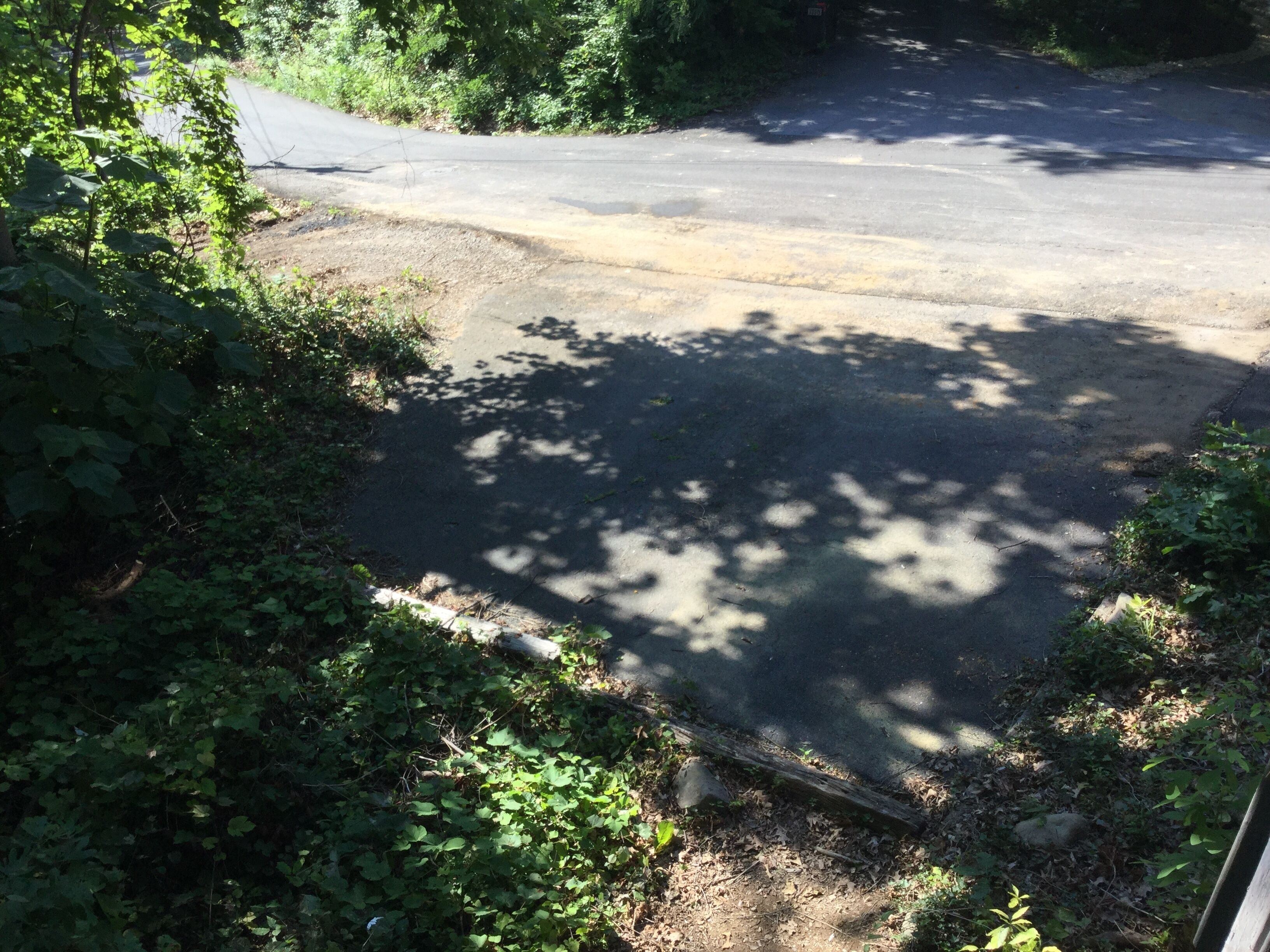 Une route asphaltée qui serpente à travers une zone boisée, bordée de chaque côté d’une végétation dense.
