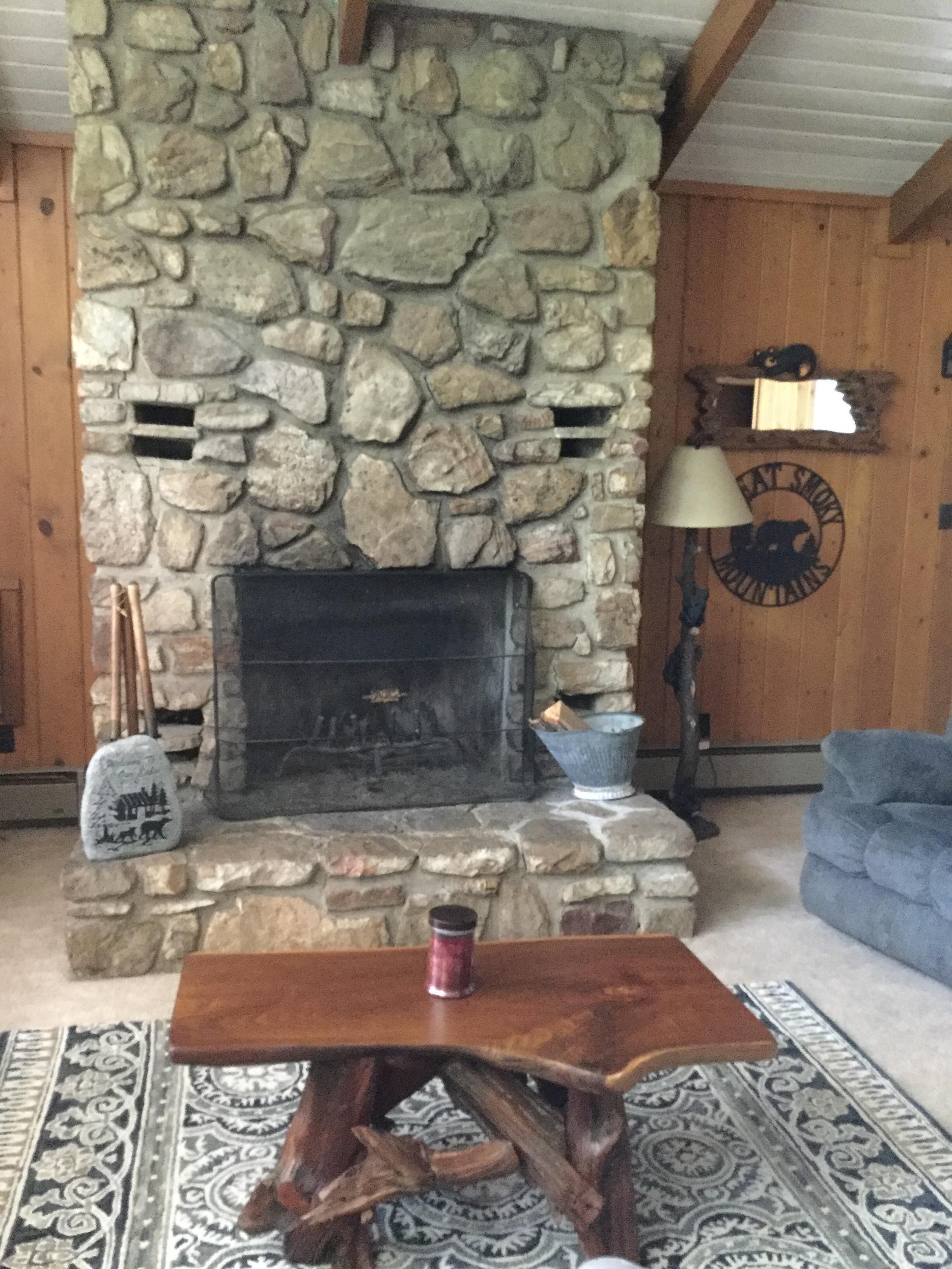 Bears, bears, bears! Minutes from downtown, book early for Fall!