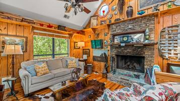 TV, lareira, DVD player