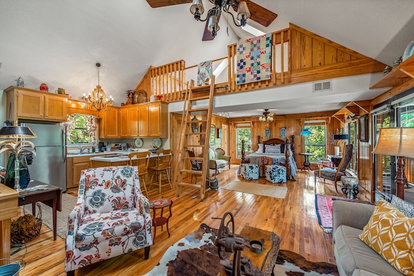 Televisie, een open haard en een dvd-speler