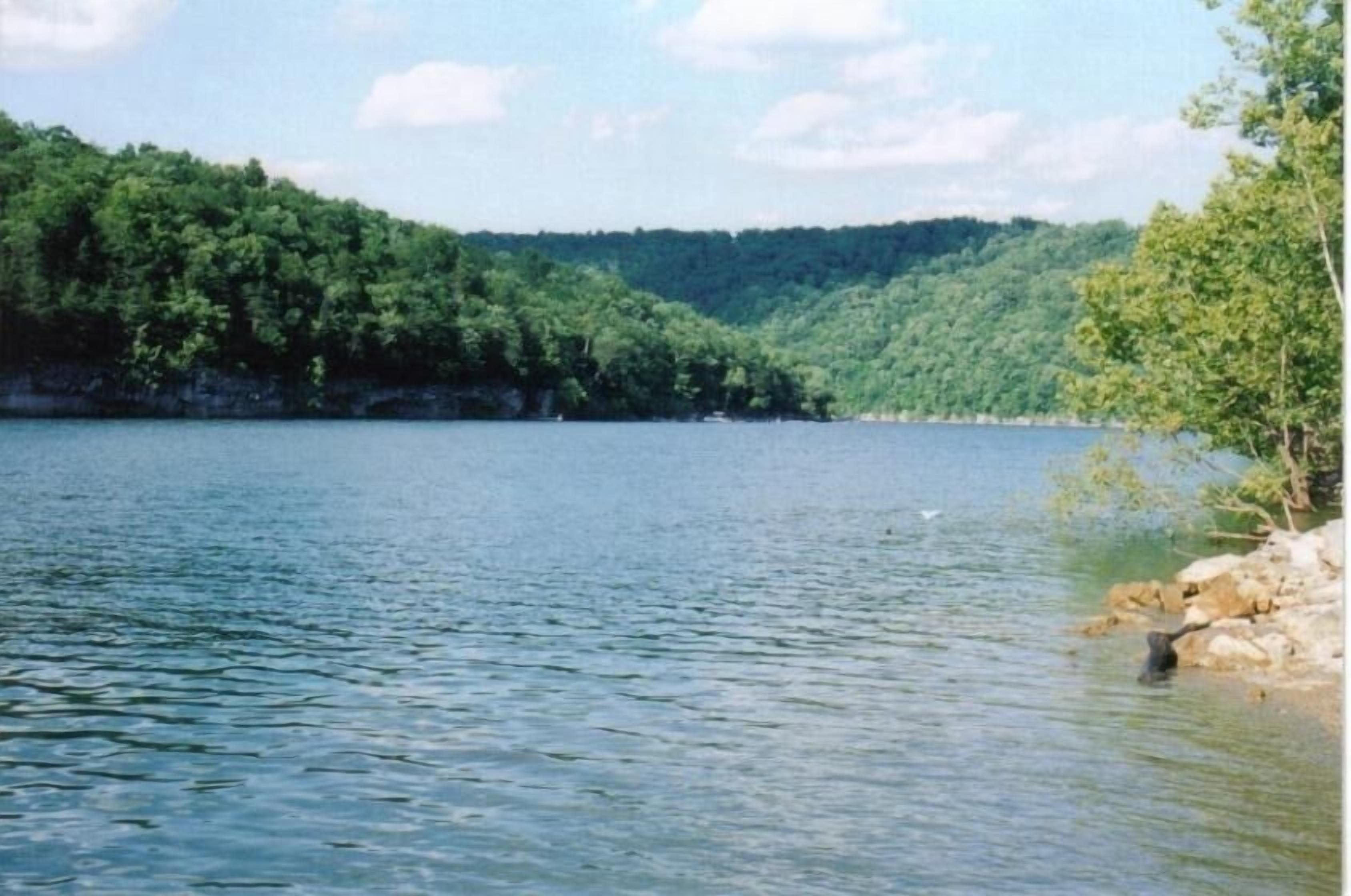 A calm lake surrounded by dense forest.