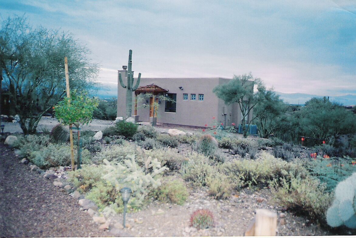A building with a flat roof and a cactus in the foreground.