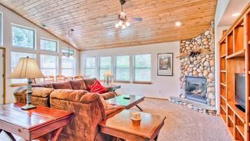 Televisión, chimenea y reproductor de DVD