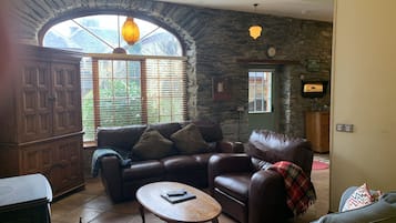 Televisie, een open haard, een dvd-speler en boeken