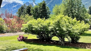 Un jardín con un banco, un árbol y una montaña al fondo.