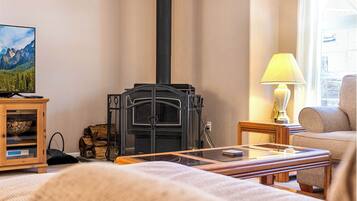 Smart TV, chimenea y reproductor de DVD