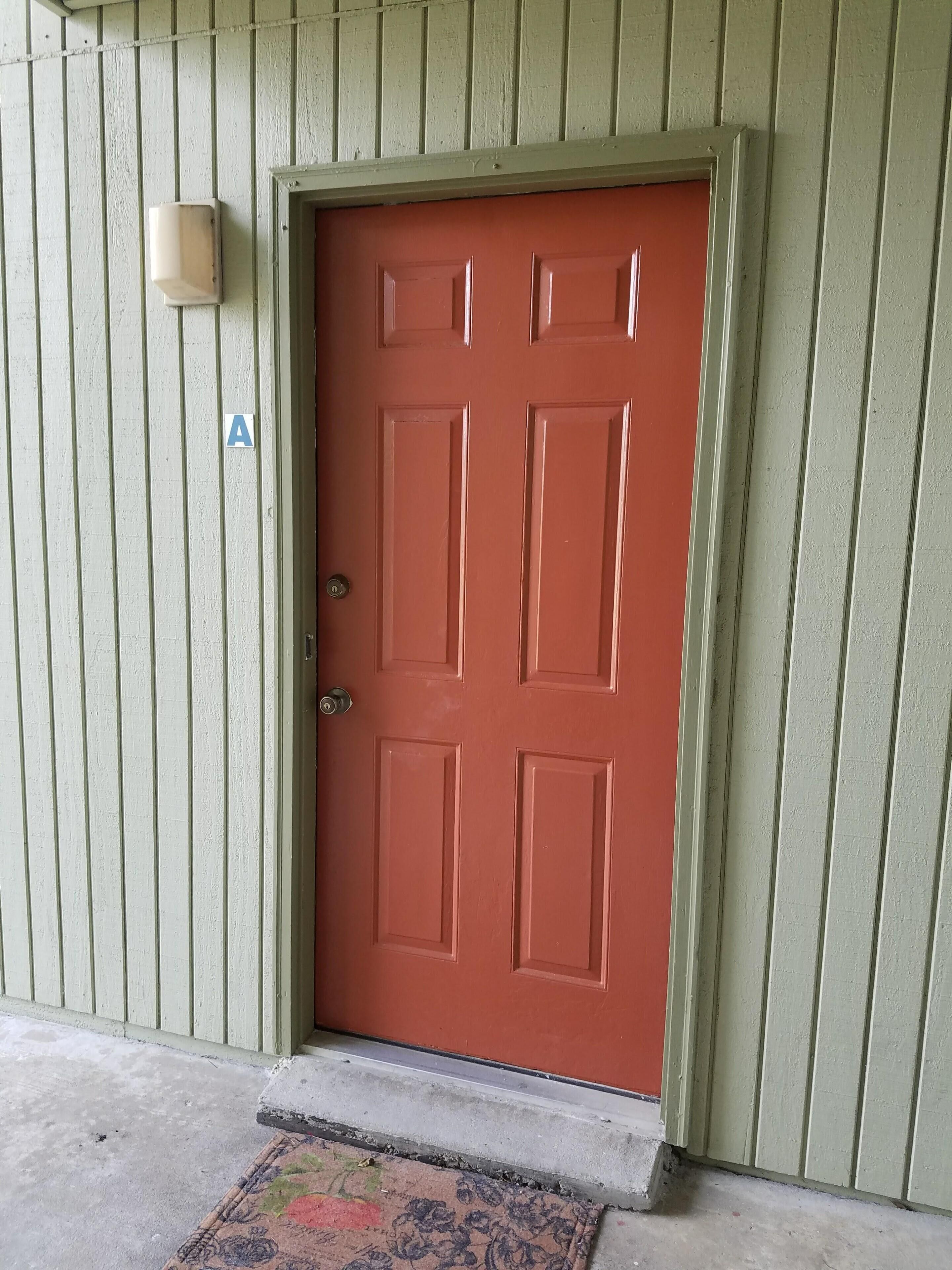 Super Fun in the Sun