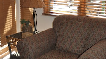 Fireplace, DVD player, books
