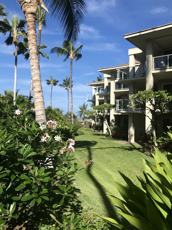 A hotel with a well-maintained lawn, palm trees, and a clear blue sky.