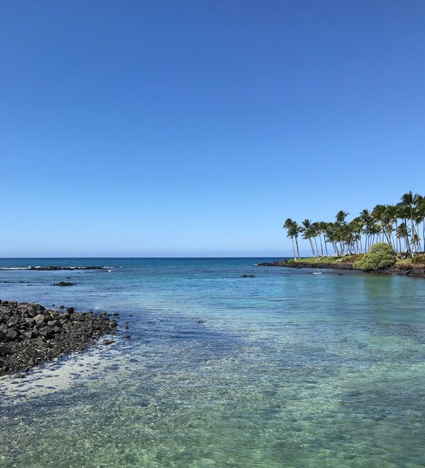 Beach nearby, sun-loungers, beach towels