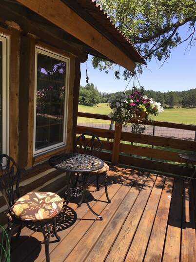 Historic & Cozy Cabin, Within 10 Mi of Mt. Rushmore & Custer State Park