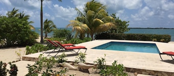 Gold Standard Beach Front Estate with Private Pool and walk to Placencia Village