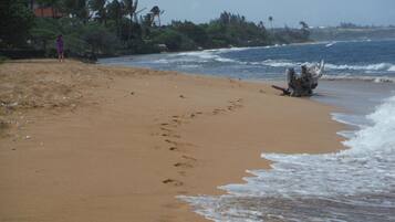 Beach nearby, sun-loungers, beach towels
