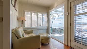 TV connectée, cheminée, lecteur de DVD, chaßne hi-fi