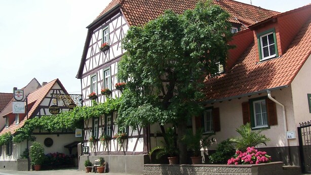 A traditional half-timbered building with a tiled roof, a large tree in front, and flower boxes on the windows. - Hotel Restaurant Zum Engel (Roemerberg)