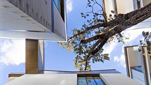 A modern building with a large tree in front, a clear sky, and a window with a view of the sky. - Riverfront condo - Amazing views in Cuenca's Historic District  (Cuenca)