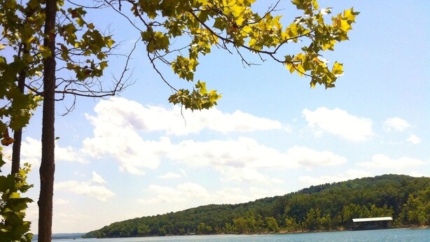 A bench by a lake with a clear view of the water and a forested hill in the distance. - This Is Our Completely Remodeled Place On The Lake! Right Next To Sdc! (Branson)