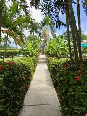 Overnattingsstedets uteområder