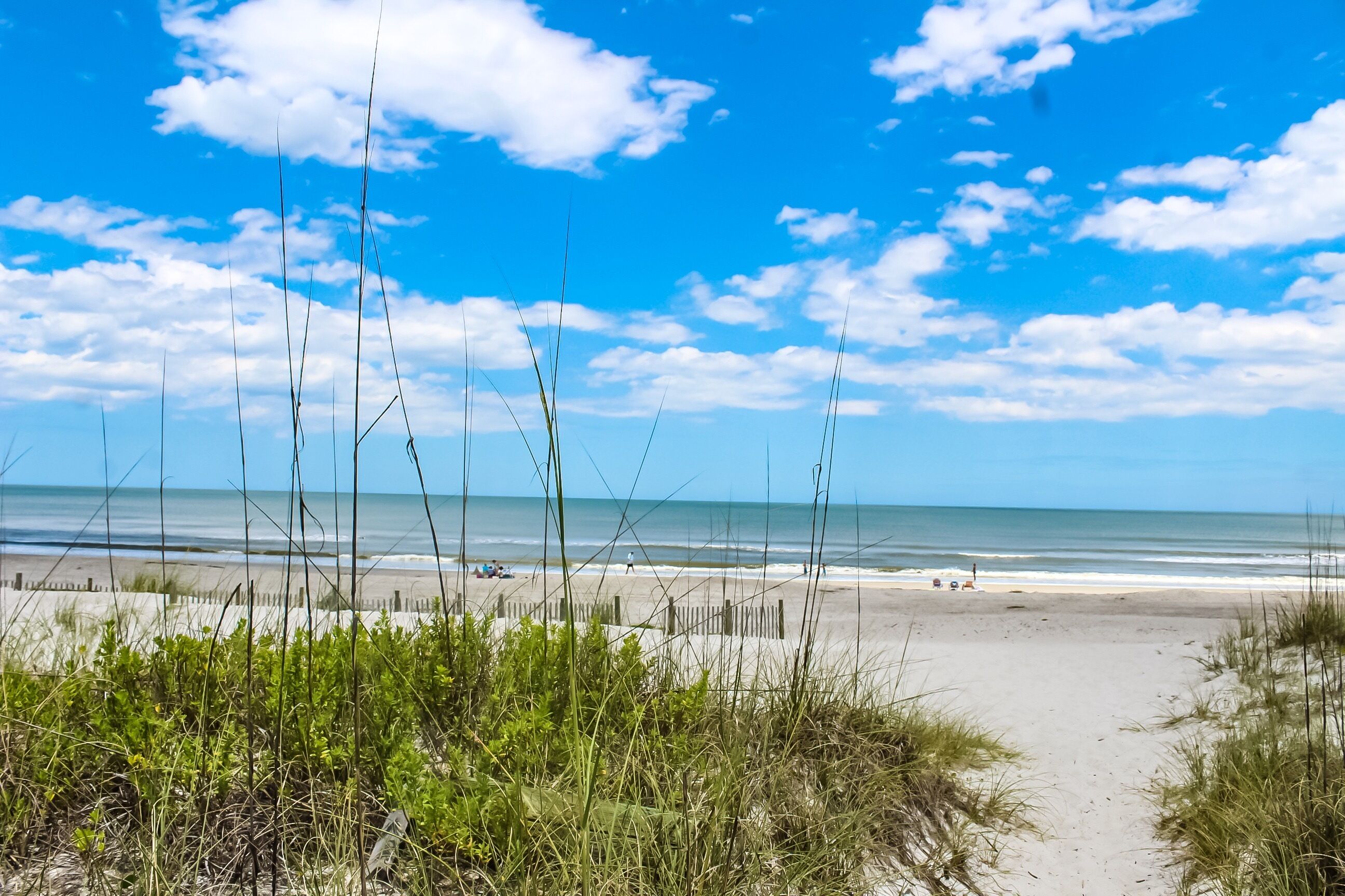 Plage, chaises longues, serviettes de plage