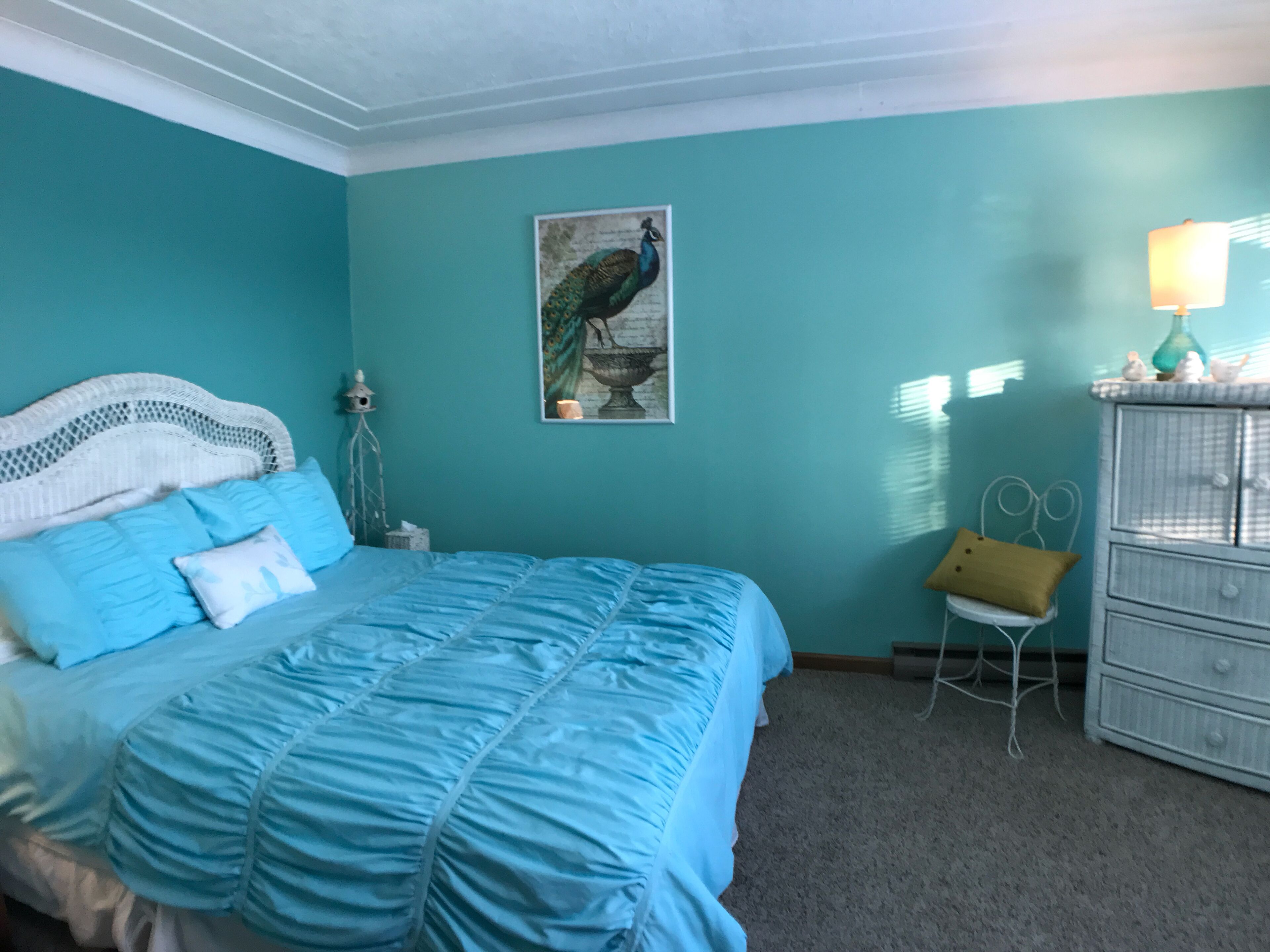 Lose Yourself in a Sunset Reading A Book out on the Lake Family Bonfire Quality