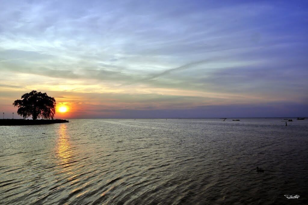 Lose Yourself in a Sunset Reading A Book out on the Lake Family Bonfire Quality