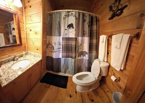 Combined shower/bathtub, hair dryer, towels, toilet paper - WHAT A VIEW from the HOT TUB! Pac-Man and Ping-pong! (Blue Ridge)