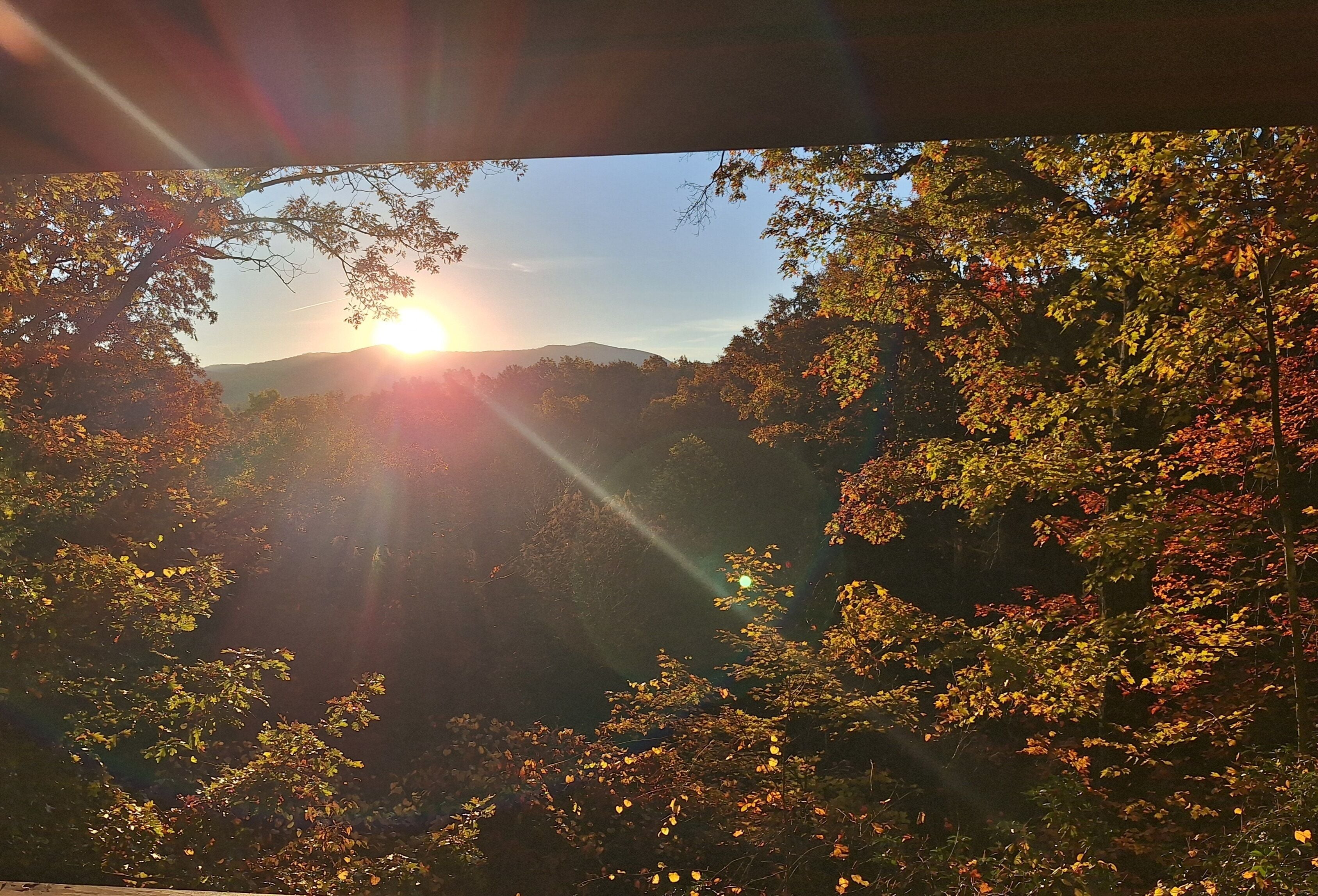 الإطلالة من المنشأة