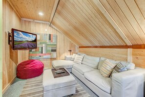 Tv, pejs, dvd-afspiller