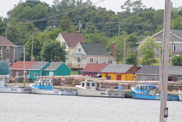 A harbor with boats docked, surrounded by houses and a forested hill. - Oceanfront Getaway | Walk to Harbour | Quiet & Scenic (North Rustico)