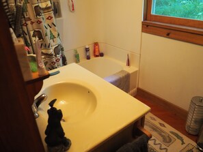 Shower, hair dryer, towels, toilet paper - Classic Vermont Cabin on 2.5 acres Lake Frontage (Salisbury)