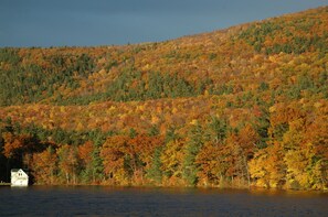 Exterior - Classic Vermont Cabin on 2.5 acres Lake Frontage (Salisbury)