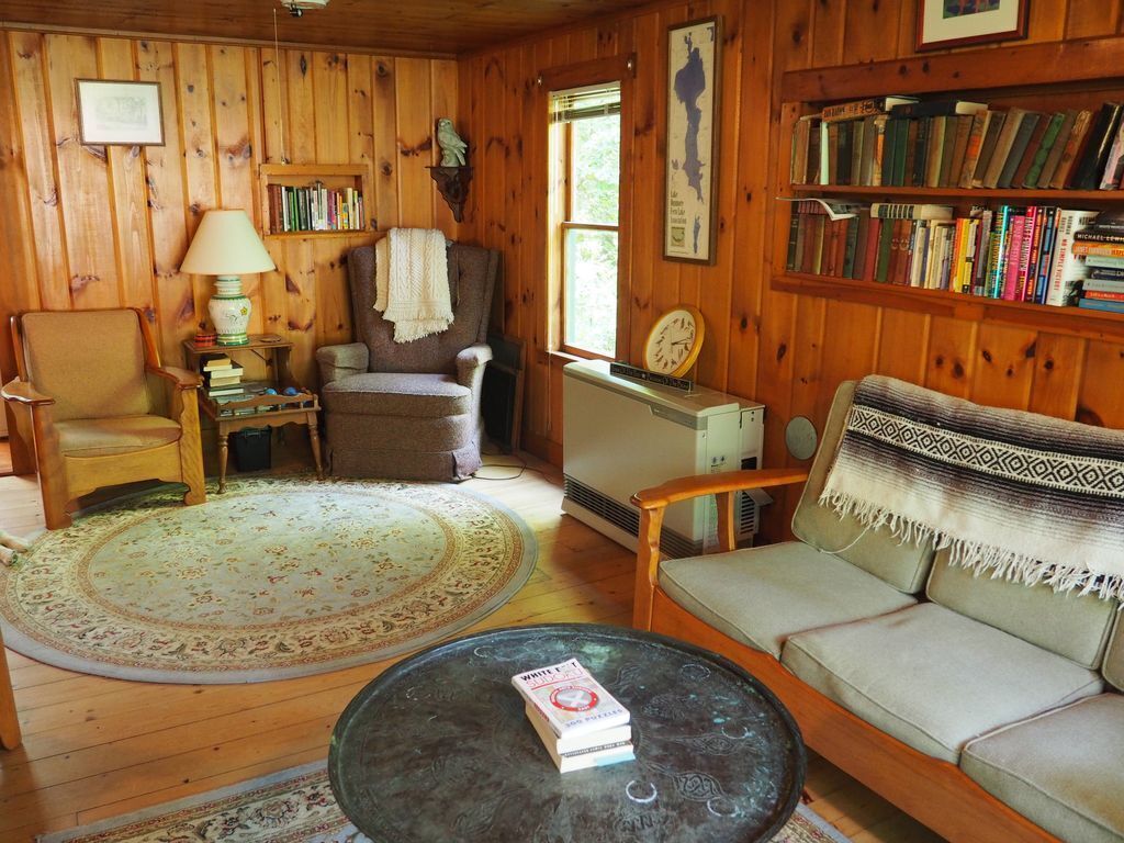 Televisión, chimenea y libros 