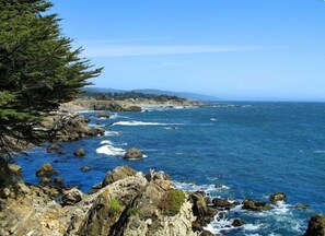Beach towels - Architecturally Stunning Ocean View Home featured in Coastal Living Magazine (The Sea Ranch)