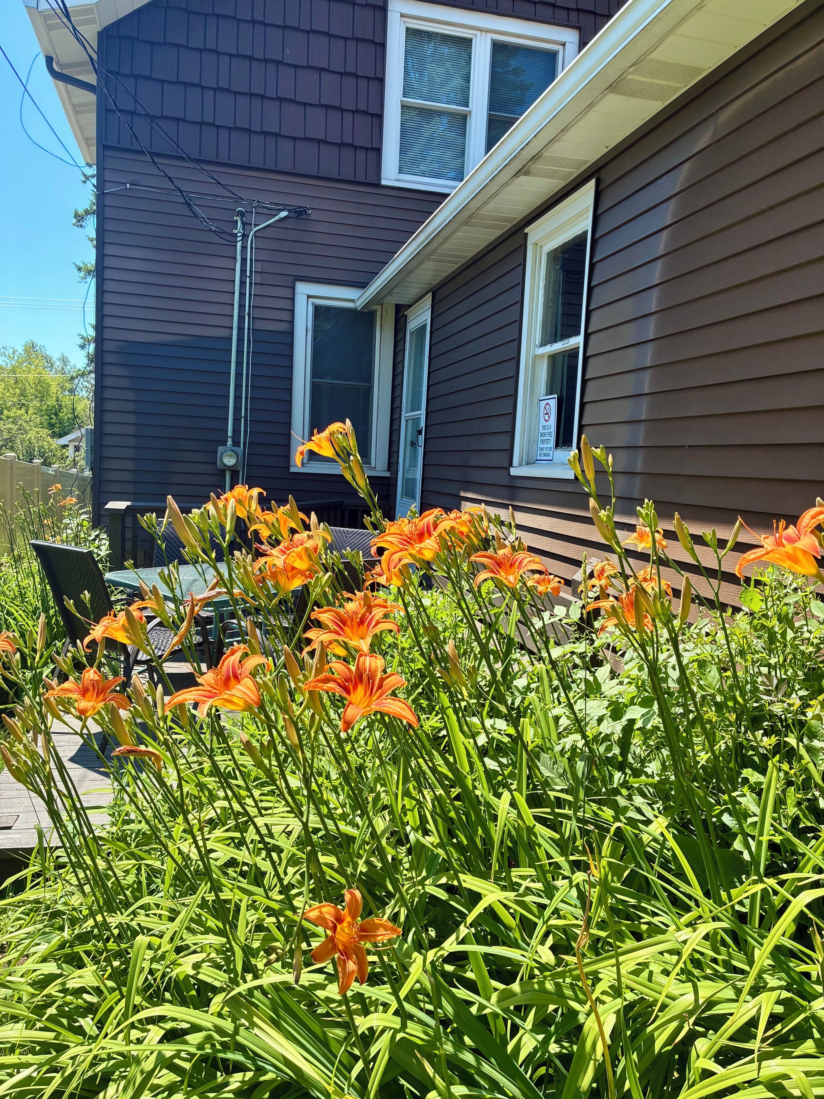 This is the back porch.  