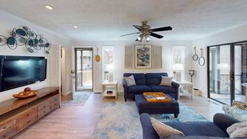 Una Smart TV, una chimenea, un reproductor de DVD